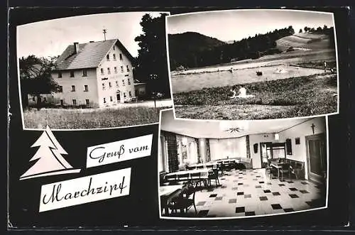 AK Marchzipf, Gasthaus und Pension, Inh. Georg Streifinger
