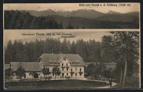 AK Neueck /bad. Schwarzwald, Der Gasthof Freiburgerhof, Blick vom Neueck auf den Feldberg