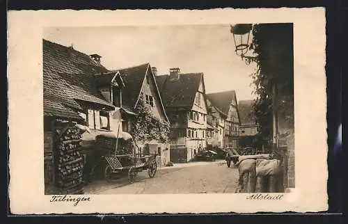 AK Tübingen, Partie in der Altstadt