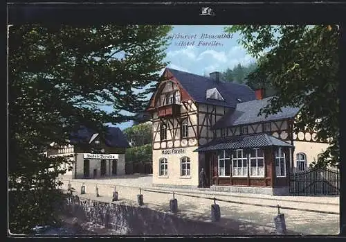 AK Blauenthal i. Erzgeb., Hotel und Parkrestaurant Forelle Max Meyer