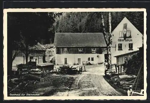 AK Lauterbach / Hessen, Gasthaus zur Steinmühle, mit flagge in der Frohnau