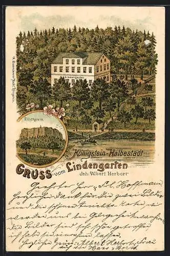 Lithographie Königstein-Halbestadt, Gasthof Lindengarten, der Lilienstein