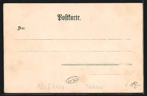 Lithographie Thorn / Torun, Stadtblick mit Dampferpartie, Artushof, Rathaus & Eisenbahnbrücke