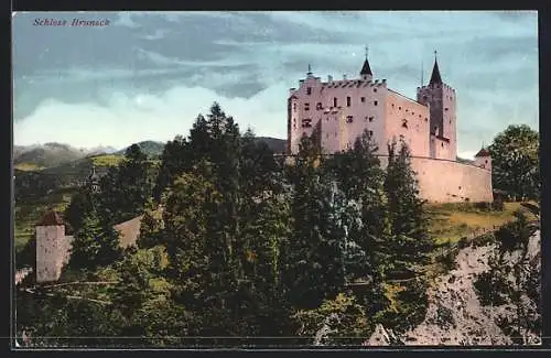 AK Bruneck, Blick auf Schloss Bruneck