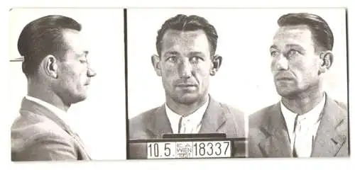Fotografie Polizeifoto / Mugshot, Franz Schützenhofer, festgenommen 1951 in Wien