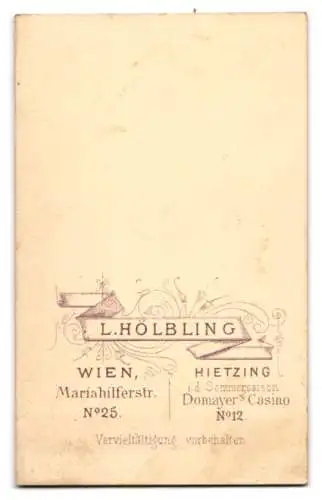 Fotografie L. Hölbling, Wien, Adolf Müller Edler zu Seehof, in K.u.K. Uniform mit Orden, 1879, Handkoloriert