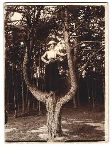 Fotografie unbekannter Fotograf und Ort, jung Frau posiert in einer Astgabel (Baum wie Stimmgabel)