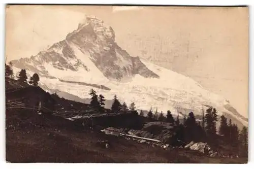 Fotografie Chanaux Freres & Cie. Successeurs, Geneve, Ansicht Zermatt, Blick zum Matterhorn von der Staffelalp aus