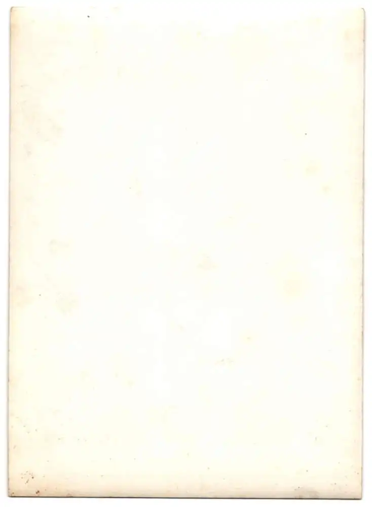 16 Fotografien Ansicht Oberlungwitz i. S., Strickmaschinenfabrik Paul Bässler, Maschinen & Familien-Portrait Bässler 21