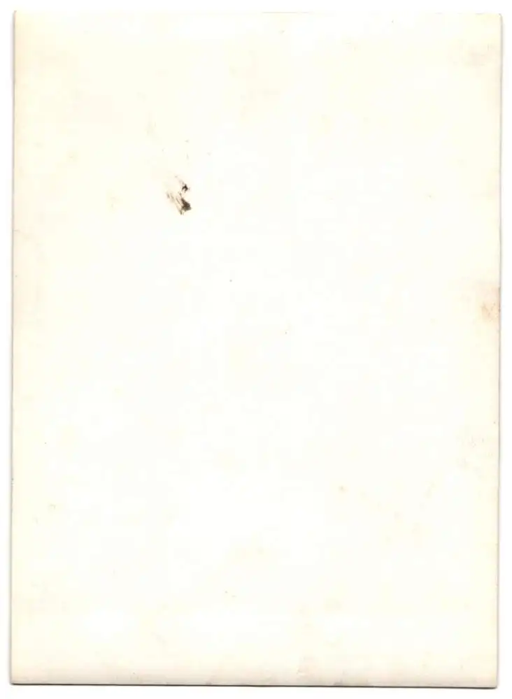 16 Fotografien Ansicht Oberlungwitz i. S., Strickmaschinenfabrik Paul Bässler, Maschinen & Familien-Portrait Bässler 29