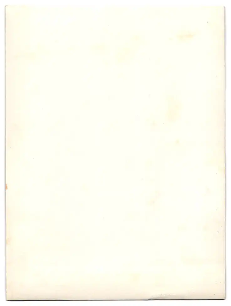 16 Fotografien Ansicht Oberlungwitz i. S., Strickmaschinenfabrik Paul Bässler, Maschinen & Familien-Portrait Bässler 33