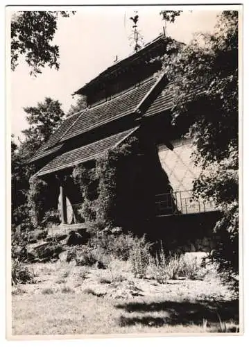 10 Fotografien Dr. Kurt Hoyer, Ansicht Oranienbaum, Marktplatz, japanisches Teehaus, Schloss Oranienbaum, Schlosspark