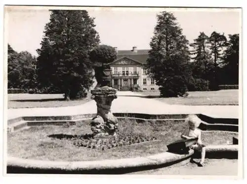 10 Fotografien Dr. Kurt Hoyer, Ansicht Oranienbaum, Marktplatz, japanisches Teehaus, Schloss Oranienbaum, Schlosspark