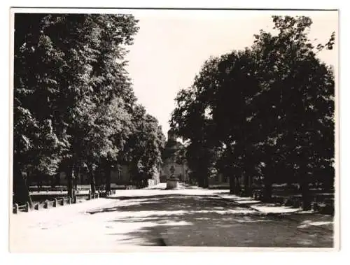 10 Fotografien Dr. Kurt Hoyer, Ansicht Oranienbaum, Marktplatz, japanisches Teehaus, Schloss Oranienbaum, Schlosspark