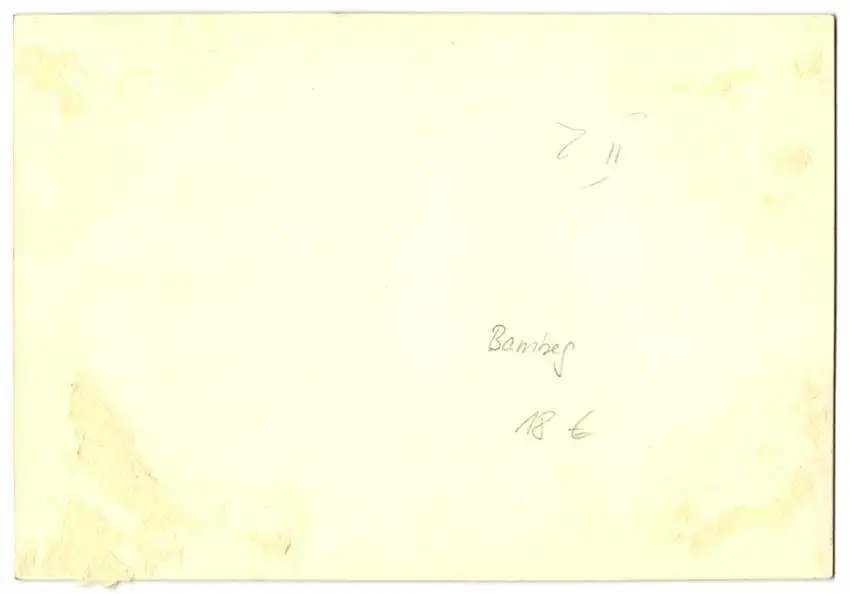 15 Fotografien M. Gardill, Bamberg, Ansicht Bamberg, Spedition A. Kraemer, Thorackerstr. 3a, LKW Fuhrpark & Prospekt 28