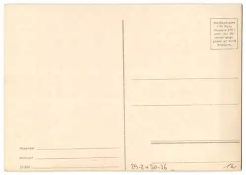 Riesen-AK Westfront, gegen Feindessicht eingedecktes Geschütz in Feuerstellung