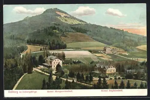 AK Oelberg im Siebengebirge, Blick auf das Hotel Margaretenhof