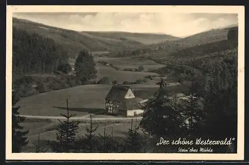 AK Daaden /Westerwald, Blick auf Stein`ches Mühle