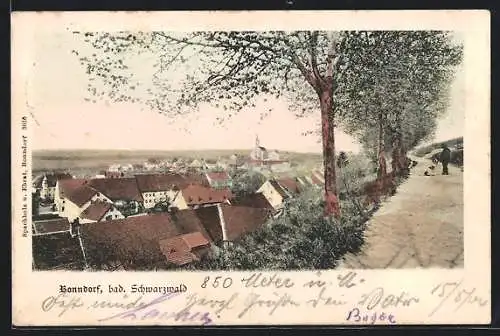 AK Bonndorf / Schwarzwald, Ortsansicht vom Weg aus mit Passant und Hund