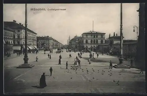 AK München, Partie in der Ludwigsstrasse