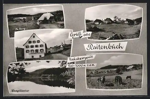 AK Raitenbuch / Schwarzwald, Windgfällweiher u. Ferienhäuser