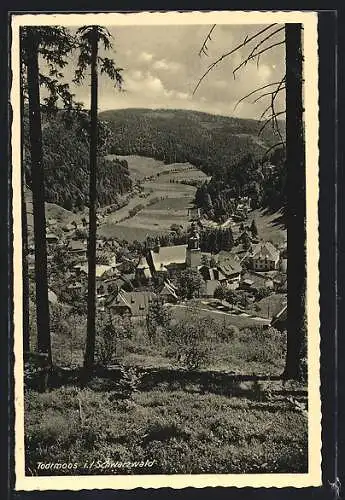 AK Todtmoos /Schwarzwald, Gesamtansicht aus der Vogelschau