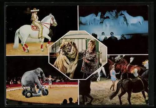 AK Zirkus Krone, Christel Sembach-Krone mit Tiger Ussur, Elefant Bijoya fährt Rad