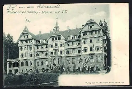 AK Villingen / Baden, Waldhotel, Kutsche im Vordergrund