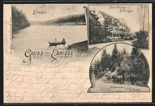 AK Ebnisee, Hotel Ebnisee von A. Ellinger, Schweizerhaus am See