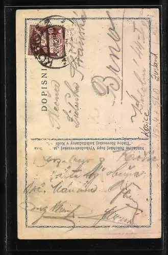 AK I.Slet Sokolskej Zupy vychodoslovenskey 1921, Sokol, Falke