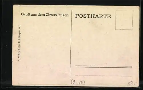 AK grosses Kuppelgebäude von Circus Busch mit grossem Eingangsportal