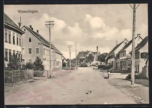 AK Winterlingen, Strassenpartie mit Bäumen