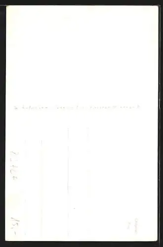 AK Neuhaus-Fischhausen, Gasthaus Probsthaus, Ortsansicht aus der Vogelschau