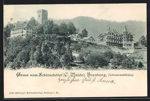 AK Hornberg /Schwarzwaldbahn, Schlosshotel C. Wälde