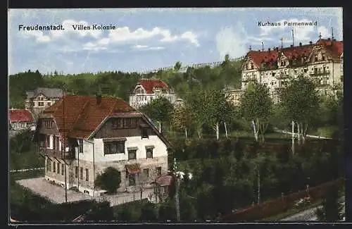 AK Freudenstadt, Villen-Kolonie und Kurhotel Palmenwald