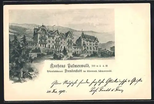 AK Freudenstadt, Kurhotel Palmenwald