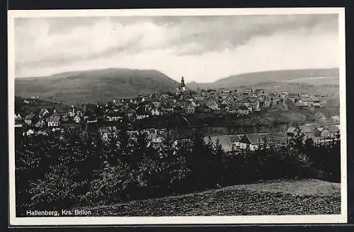 AK Hallenberg /Krs. Brilon, Ortsansicht aus der Ferne