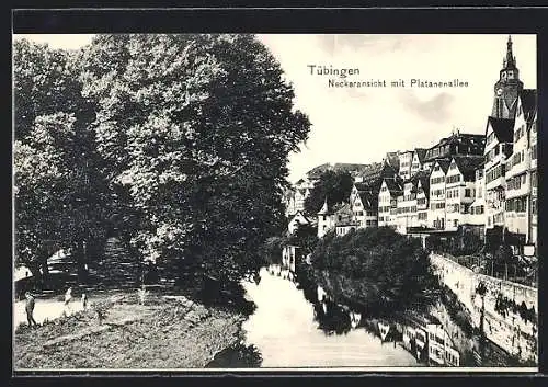 AK Tübingen, Neckaransicht mit Platanenallee