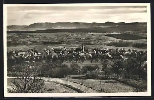 AK Pliezhausen, Panoramablick auf die Alb