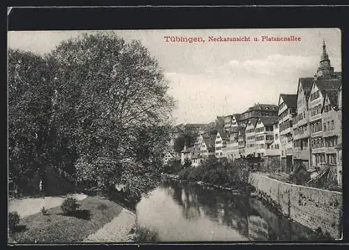 AK Tübingen, Neckarufer und Platanenallee