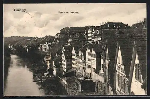 AK Tübingen, Häuser an der Neckar