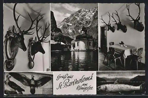 AK St. Bartholomä am Königssee, Historische Gaststätte St. Bartholomä