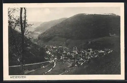 AK Wiesensteig, Blick auf Ort im Tal