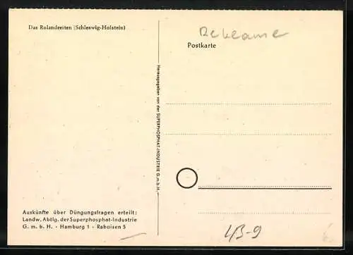 AK Schleswig-Holstein, das Rolandreiten, Reiter zu Pferde beim Spiel mit einer Holzfigur
