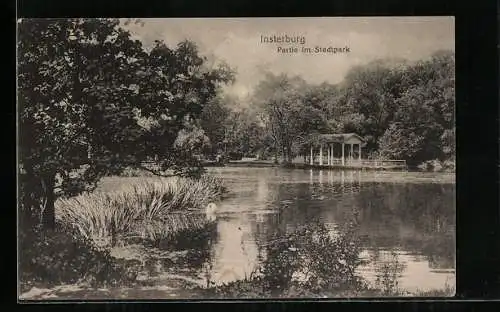 AK Insterburg, Partie im Stadtpark, Blick über den Teich