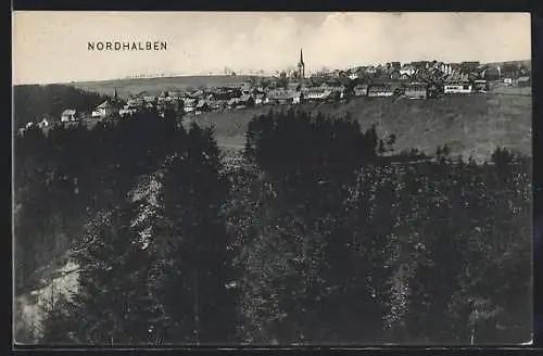 AK Nordhalben, Ortsansicht mit Wald