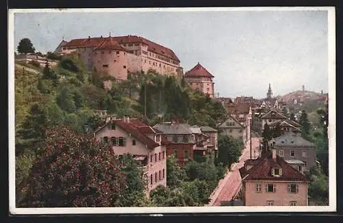AK Tübingen, Blick auf die Neckarhalde und Schloss
