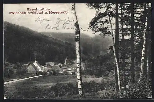 AK Dobel / Enz, Gasthaus Eyachmühle, Ansicht mit Birken