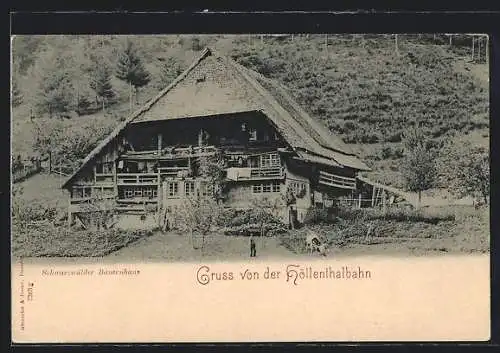 AK Höllental / Breitnau, Blick auf Schwarzwälder Bauernhaus