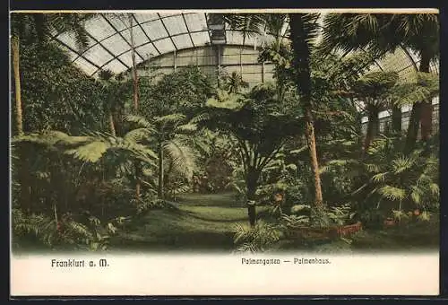 AK Frankfurt-Westend, Palmenhaus im Palmengarten, Innenansicht